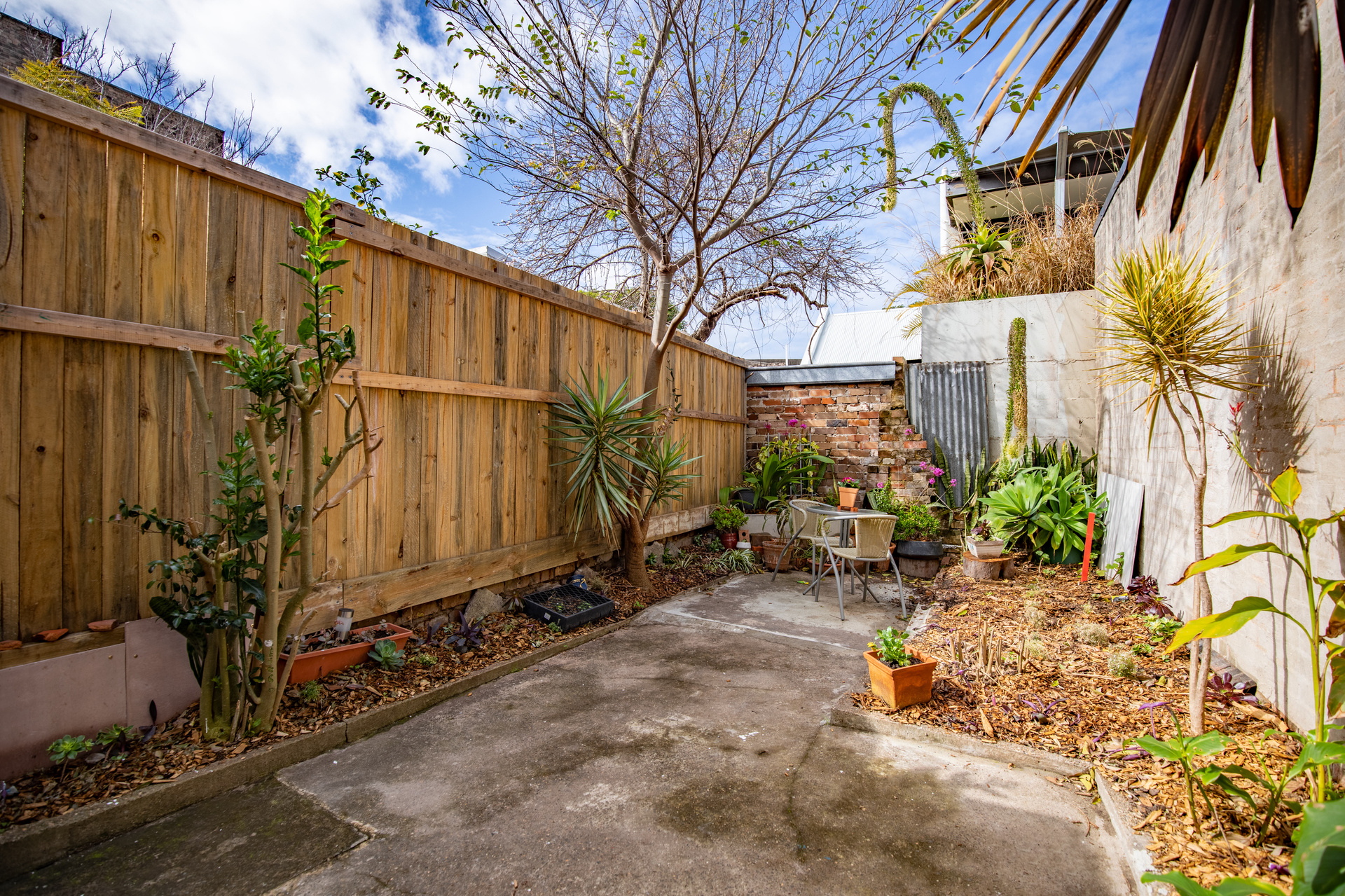 Terrace Leased 28 High Holborn Street, Surry Hills