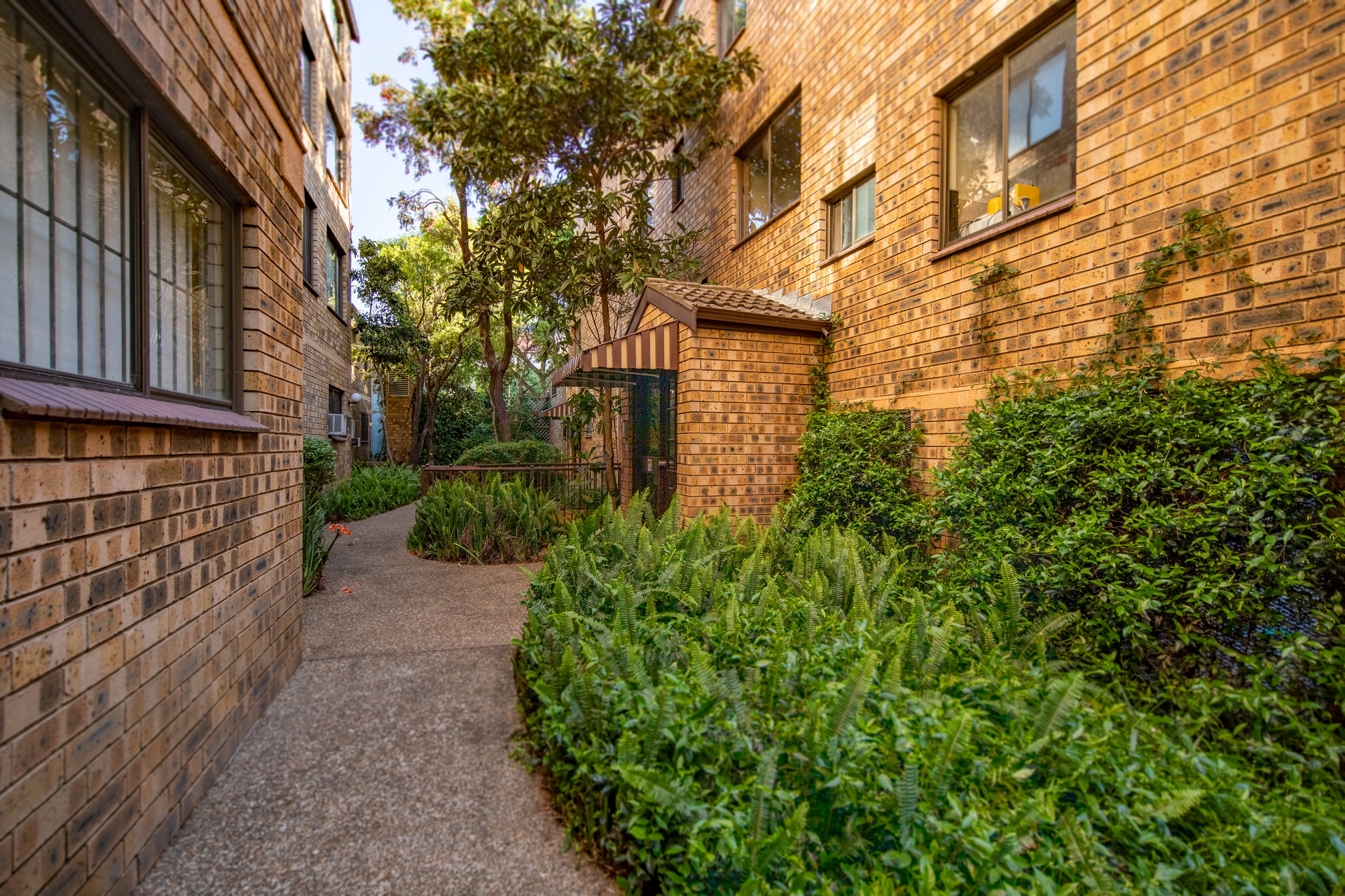 Apartment Leased 6/61 Buckingham Street, Surry Hills